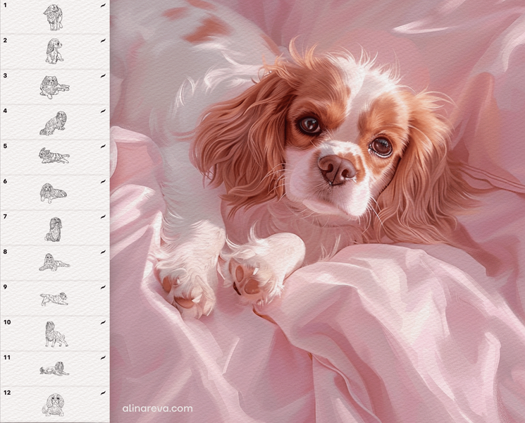 Procreate Dog King Charles Spaniel brushes