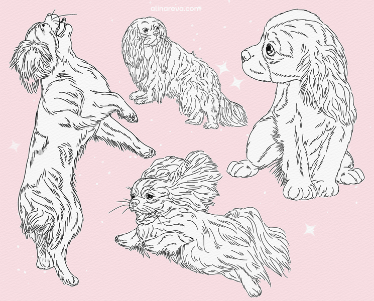 Procreate Dog King Charles Spaniel brushes