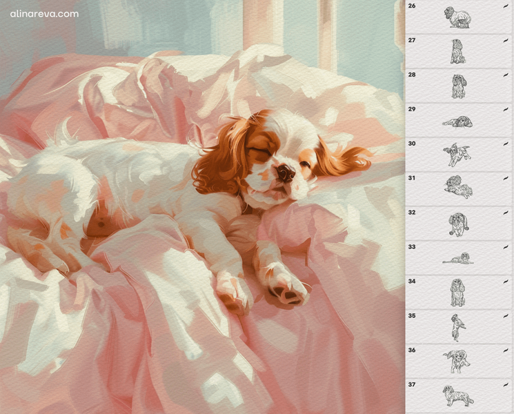 Procreate Dog King Charles Spaniel brushes