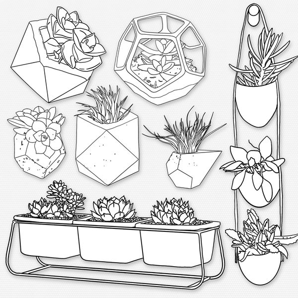 Procreate interior plants stamps