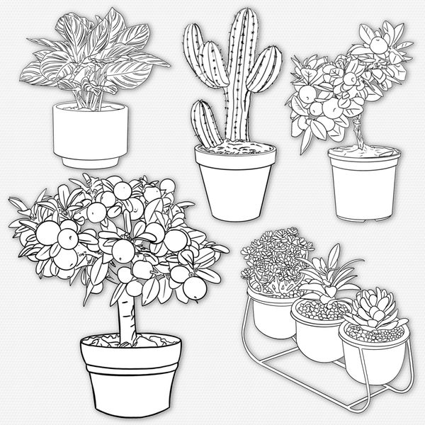 Procreate interior plants stamps. Кисти растения 85Plants фото