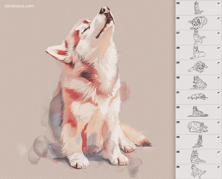 Procreate  husky dogs brushes. Кисти собаки хаски 50HuskyBrushes фото