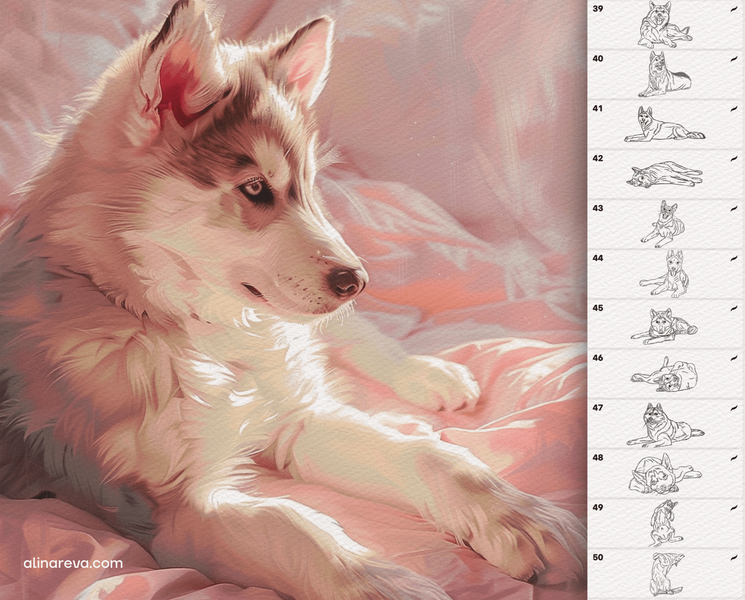 Procreate husky dogs brushes. Пензлі собаки хаскі 50HuskyBrushes фото