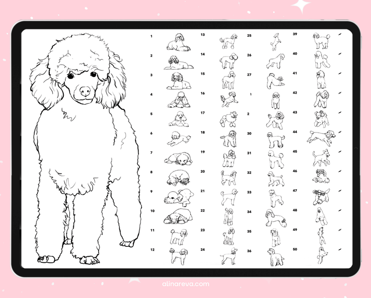 Procreate dogs poodle brushes