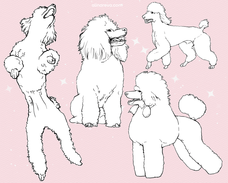 Procreate dogs poodle brushes