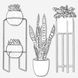 Procreate interior plants stamps. Кисти растения 85Plants фото 7