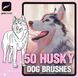 Procreate  husky dogs brushes. Кисти собаки хаски 50HuskyBrushes фото 1