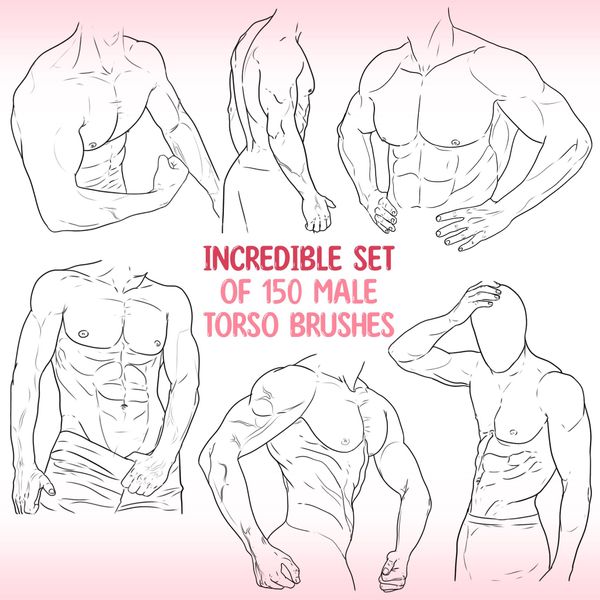 Procreate male torso brushes. Кисти мужской торс 150Torsos фото