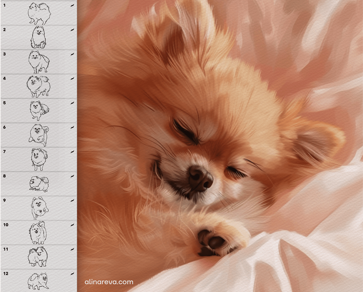 Procreate Spitz dog brushes. Кисти шпиц собака 70SpitzDog фото