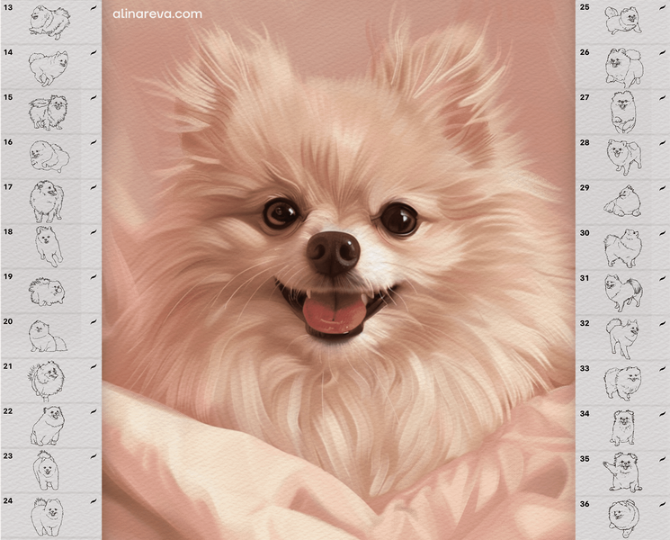 Procreate Spitz dog brushes. Кисти шпиц собака 70SpitzDog фото