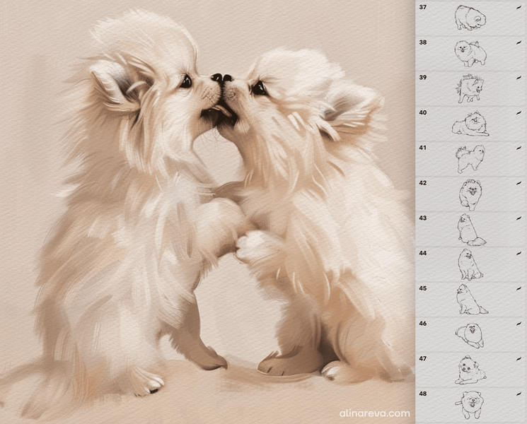 Procreate Spitz dog brushes. Кисти шпиц собака 70SpitzDog фото