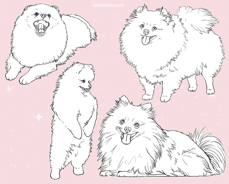 Procreate Spitz dog brushes. Кисти шпиц собака 70SpitzDog фото