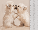 Procreate Spitz dog brushes. Кисти шпиц собака 70SpitzDog фото 6