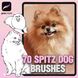 Procreate Spitz dog brushes. Кисти шпиц собака 70SpitzDog фото 1