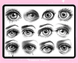 Procreate 55 Female Eye brushes. Procreate eyes portrait stamps