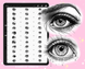 Procreate 55 Female Eye brushes. Procreate eyes portrait stamps