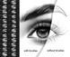 Procreate eye brushes. Procreate female eyes. Procreate realistic portrait brushes