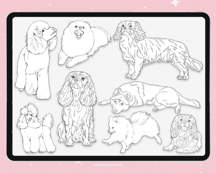 Procreate 207 dogs brushes. Кисти собаки - Большой набор 207Dogs фото