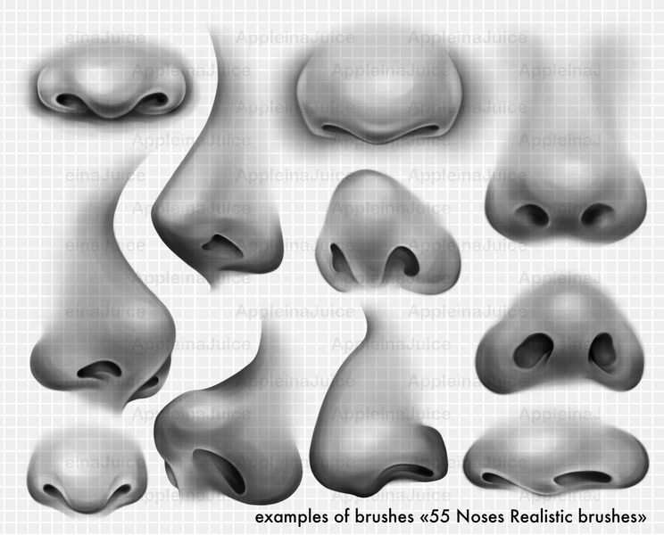 Procreate realistic nose brushes. Кисти носы 55realisticnoses фото